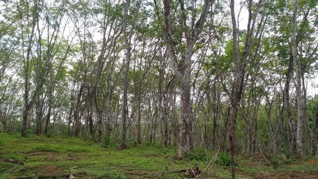 Lands for Sale Near Ahangama