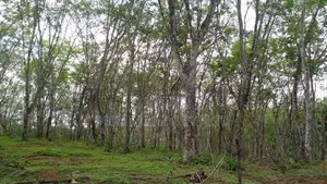 Lands for Sale Near Ahangama