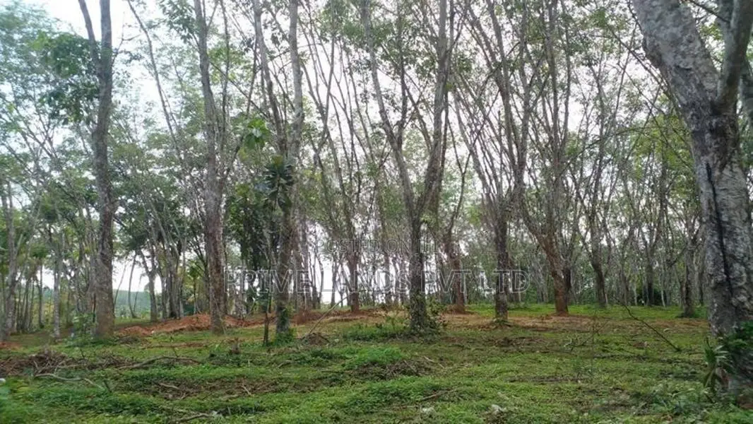 Lands for Sale Near Ahangama