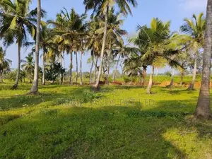 අනුරාධපුර සින්නක්කර ඉඩමක්