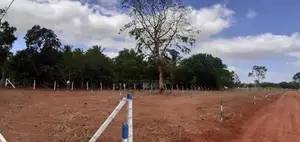 Land for Sale in Anuradhapura Puththalam Road