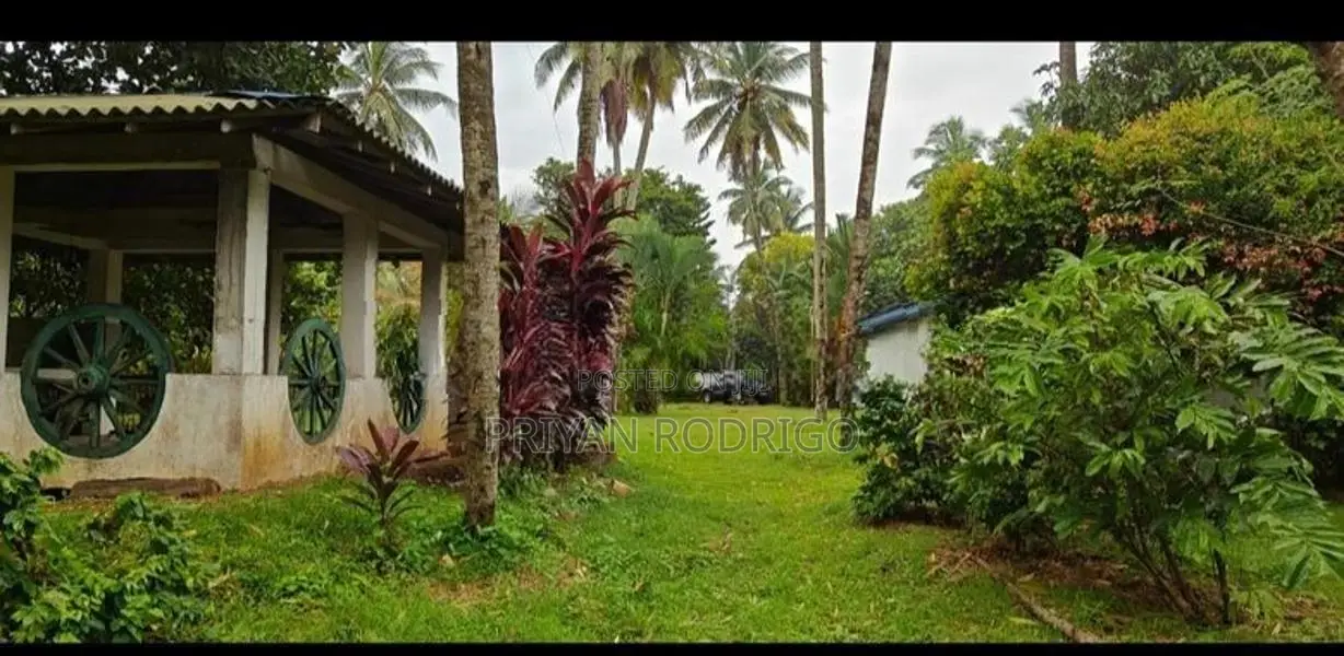 Kelaniya 229 Perches of Land with 02 Warehouses & A House for Sale