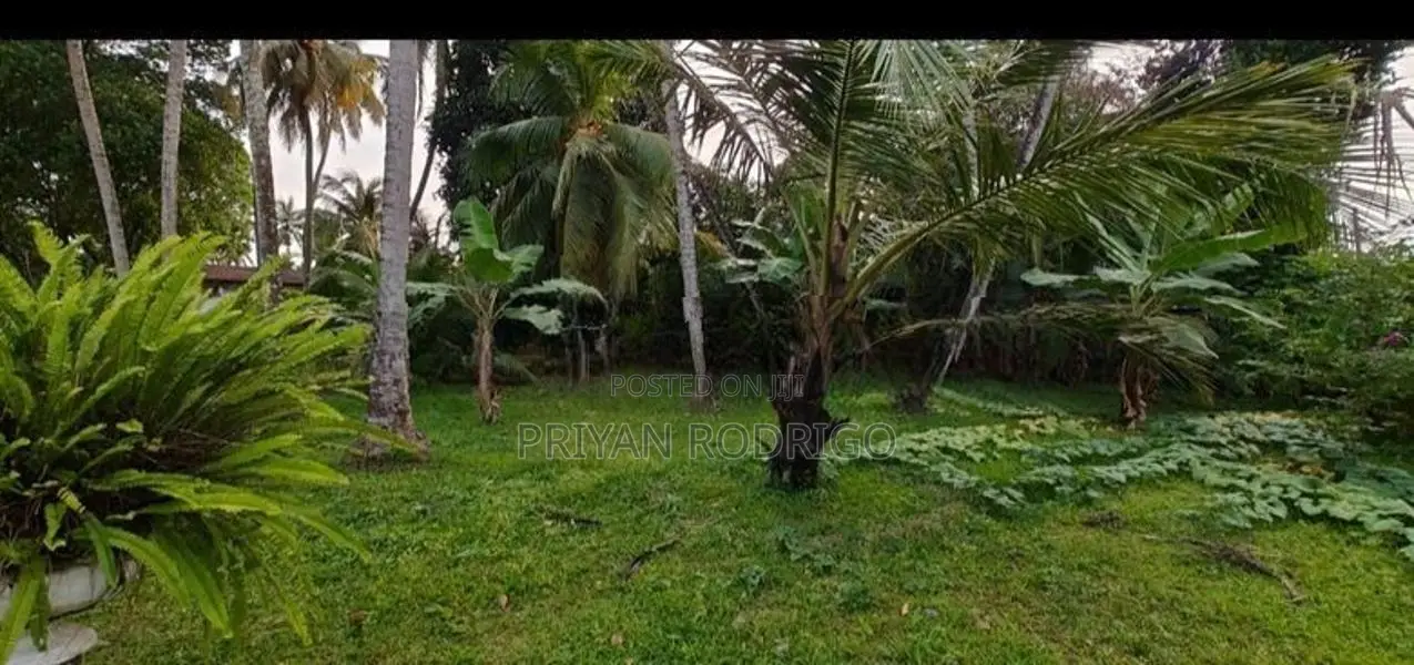 Kelaniya 229 Perches of Land with 02 Warehouses & A House for Sale