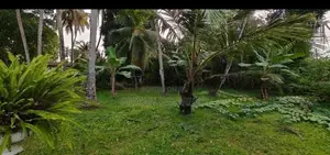 Kelaniya 229 Perches of Land with 02 Warehouses & A House for Sale
