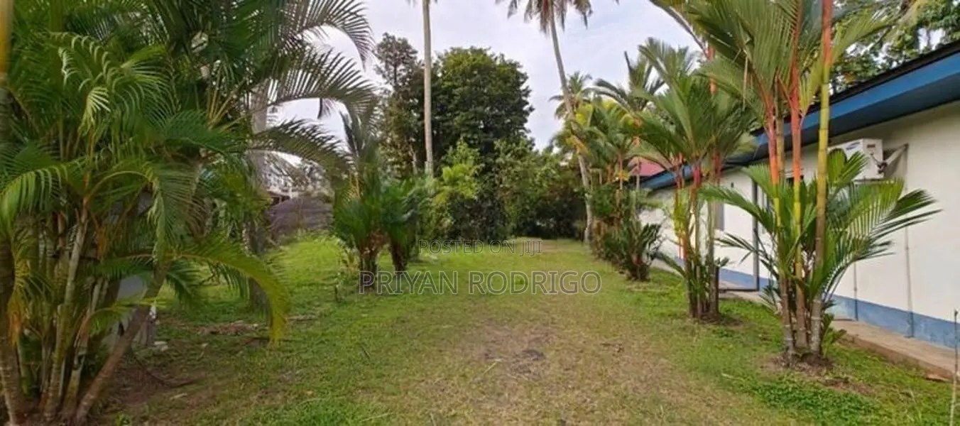 Kelaniya 229 Perches of Land with 02 Warehouses & A House for Sale