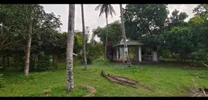 Kelaniya 229 Perches of Land with 02 Warehouses & A House for Sale