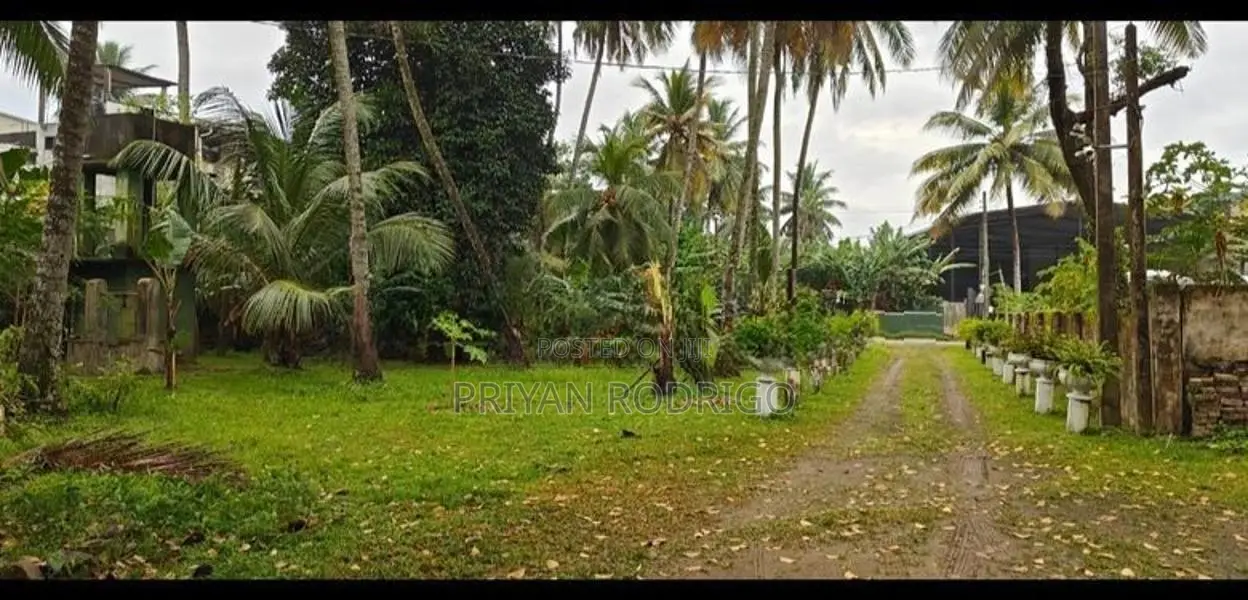 Kelaniya 229 Perches of Land with 02 Warehouses & A House for Sale