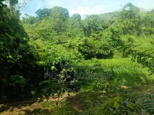 Galagedara - Kandy Kurunegala Main Road 25 Acres of Land for Sale