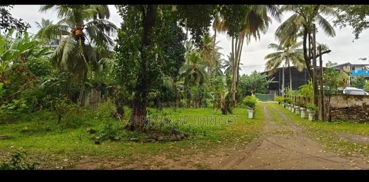 Kelaniya 229 Perches of Land with 02 Warehouses & A House for Sale
