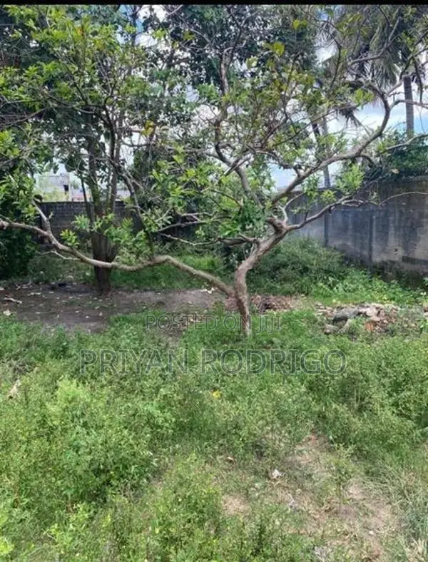 Rajagiriya Walauwatta Road, 25.5 Perches of Land for Sale