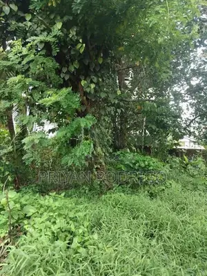 Kottawa - Makumbura 35 Perches of Land with a liveable House for Sale