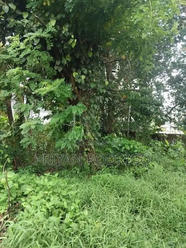 Kottawa - Makumbura 35 Perches of Land with a liveable House for Sale