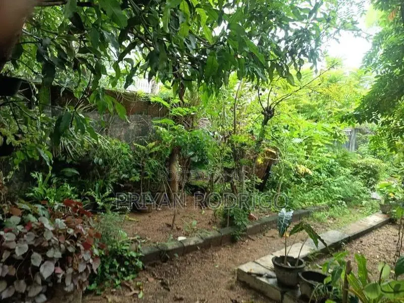 Rajagiriya, Park Lane 19.75 Perches of Land & Livable House for Sale