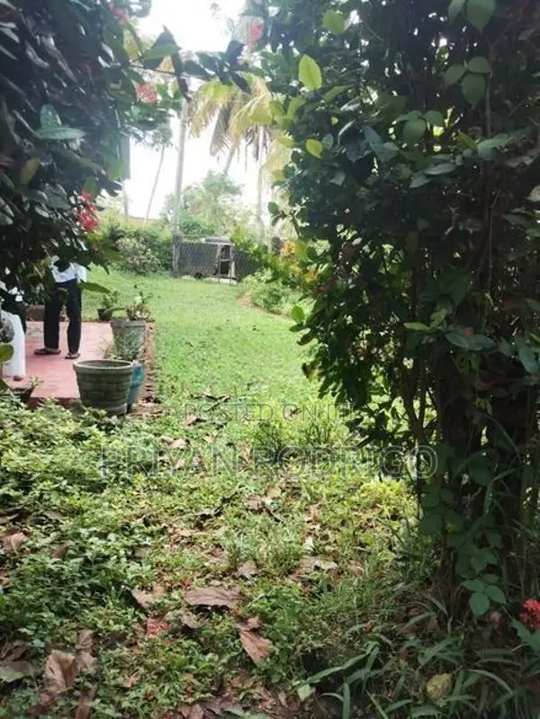 Kottawa - Makumbura 35 Perches of Land with a liveable House for Sale