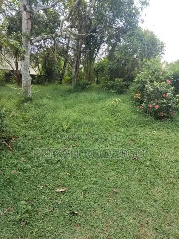 Kottawa - Makumbura 35 Perches of Land with a liveable House for Sale