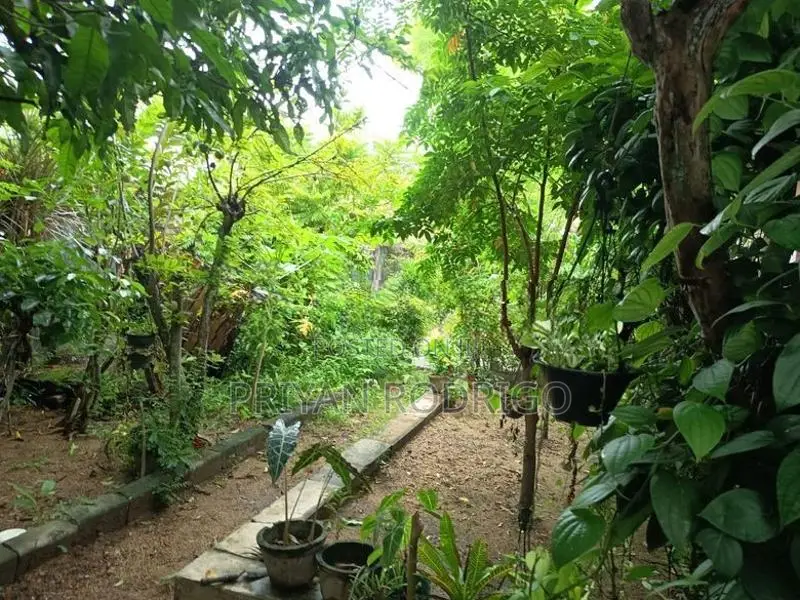 Rajagiriya, Park Lane 19.75 Perches of Land & Livable House for Sale