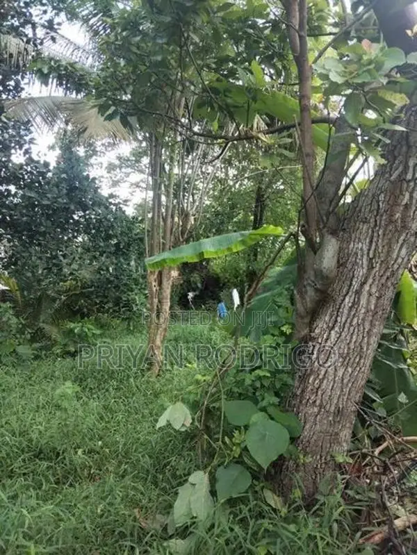 Kottawa - Makumbura 35 Perches of Land with a liveable House for Sale