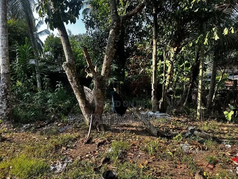 Kottawa Rukmalgama 16.5 Perches of Land with an Old House for Sale