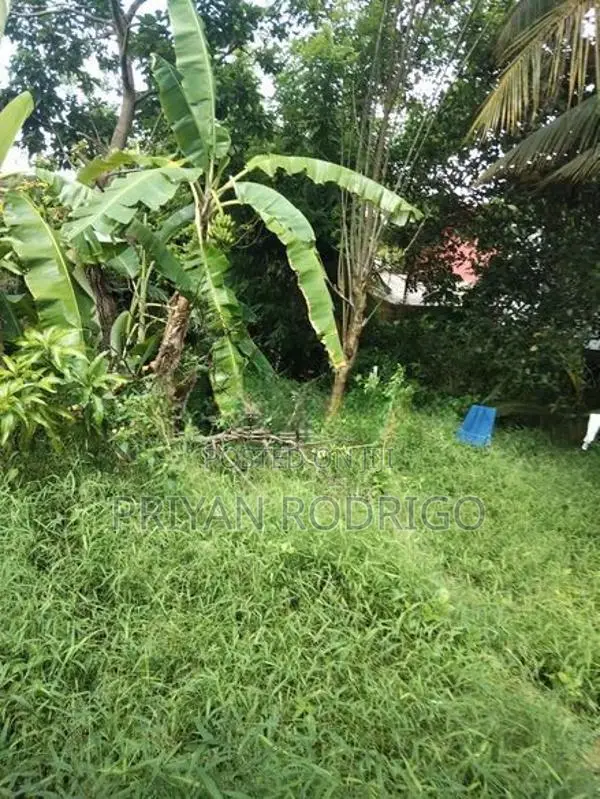 Kottawa - Makumbura 35 Perches of Land with a liveable House for Sale