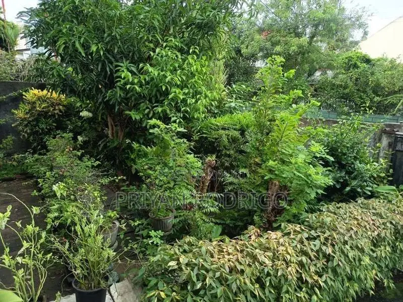 Rajagiriya, Park Lane 19.75 Perches of Land & Livable House for Sale