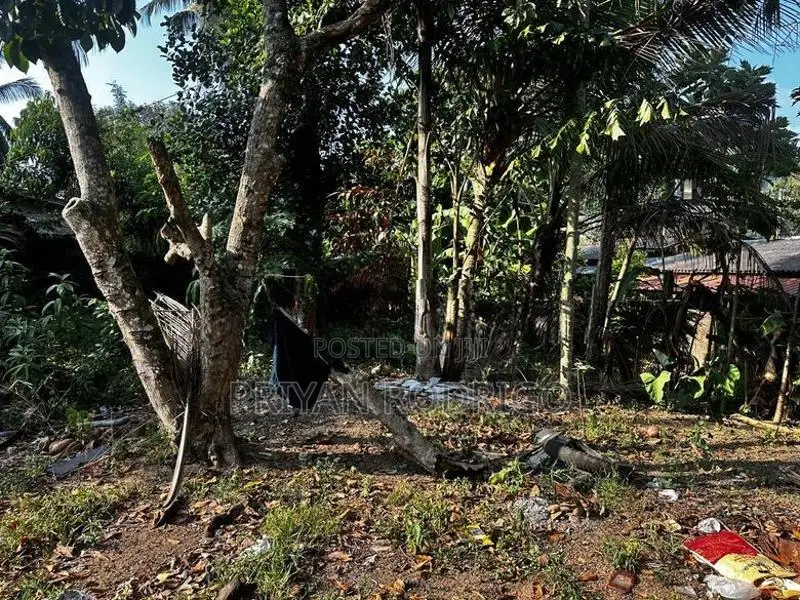 Kottawa Rukmalgama 16.5 Perches of Land with an Old House for Sale