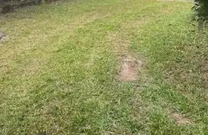 BANDARAWELA : 64P LAND WITH HOUSE FOR SALE