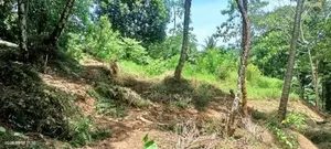 Ratnapura - New Town 35 Perches of Land for Sale