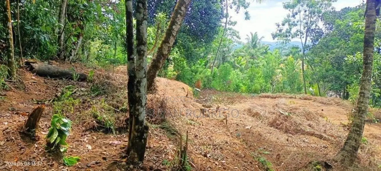 Ratnapura - New Town 35 Perches of Land for Sale