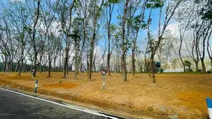 බේරුකැටිය නේවාසික බිම් කොටස් විකිණීම