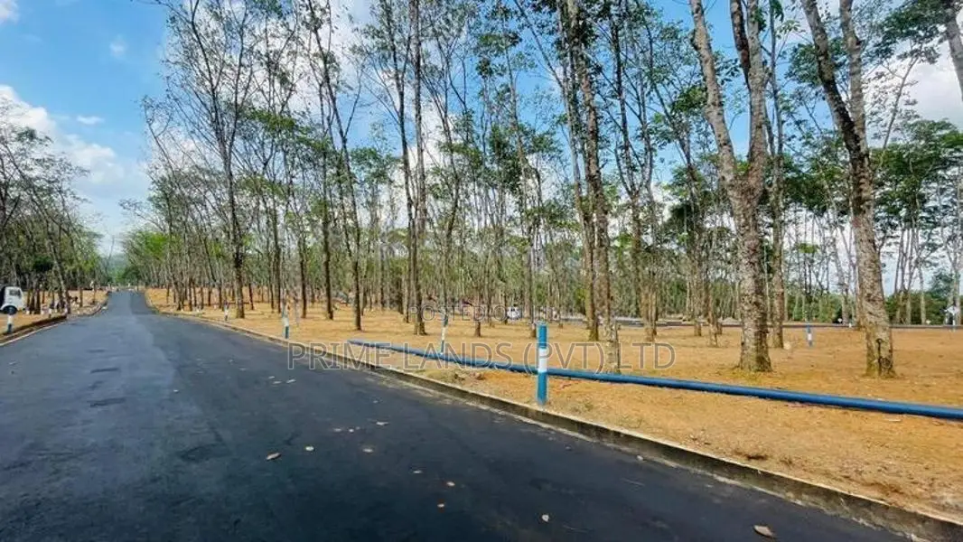බේරුකැටිය නේවාසික බිම් කොටස් විකිණීම