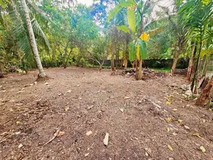 ගම්පහ – මාකෙවිටින් සුපිරි නේවාසික ඉඩමක් / RU 11161