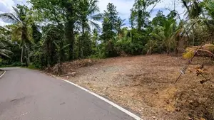 ඌරාපොල – බෝපැත්තෙන් වටිනා බිම් කොටසක් / RU 12885