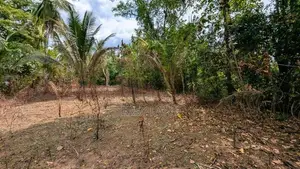 ඌරාපොල – බෝපැත්තෙන් වටිනා බිම් කොටසක් / RU 12885