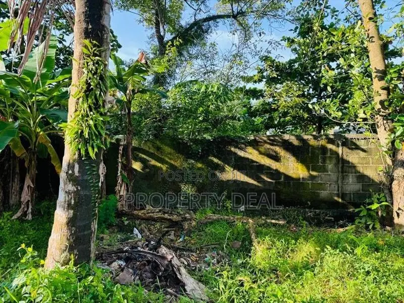Prime Residential Land for Sale – Angoda / Mulleriyawa - PDL32