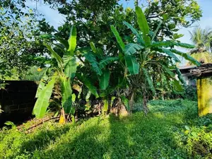 Prime Residential Land for Sale – Angoda / Mulleriyawa - PDL32