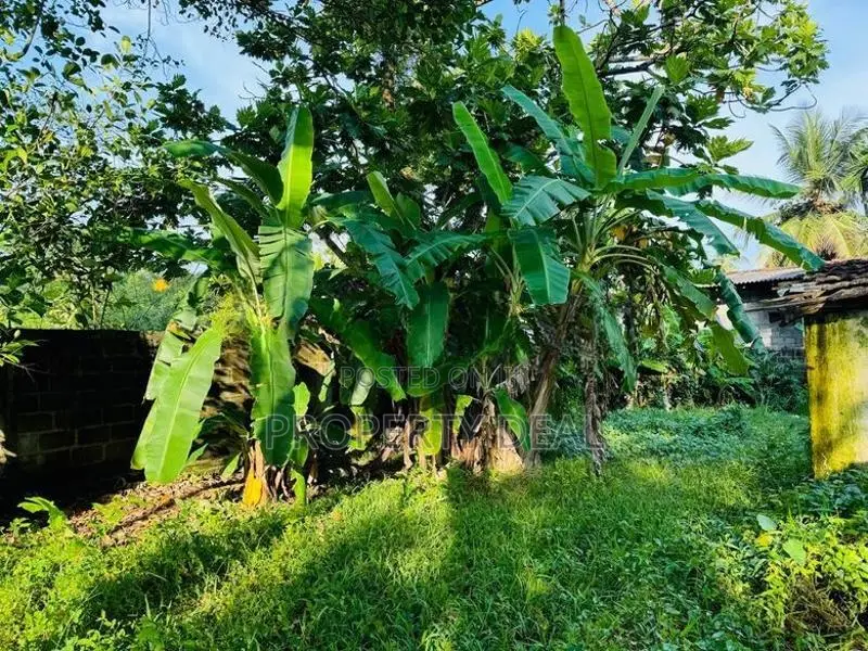 Prime Residential Land for Sale – Angoda / Mulleriyawa - PDL32