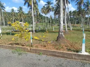 Land for Sale – Dunkolawatta, Puhuriya, Polgahawela
