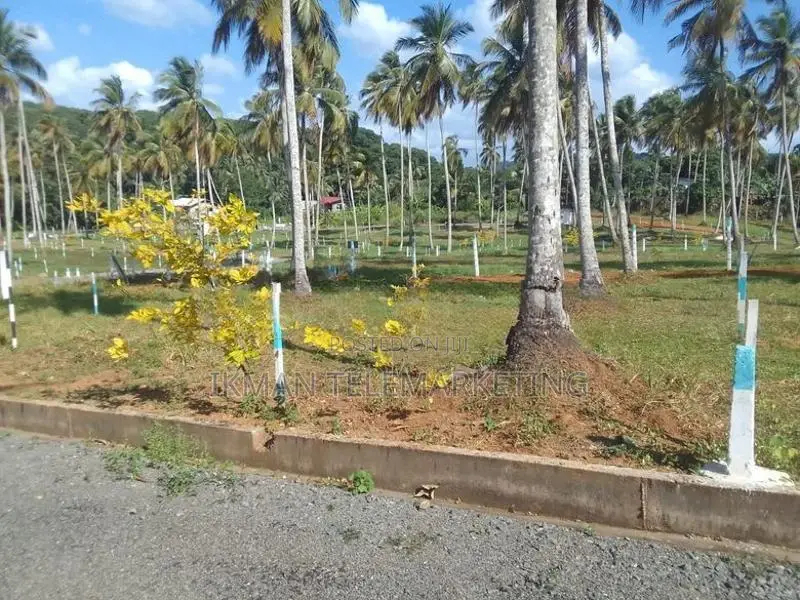 Land for Sale – Dunkolawatta, Puhuriya, Polgahawela