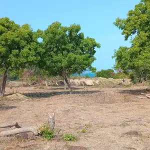 5-Acre Beachfront Land for Sale – Whiskey Point, Pottuvil