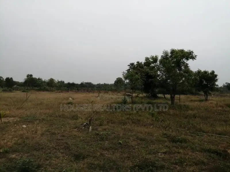 5-Acre Beachfront Land for Sale – Whiskey Point, Pottuvil
