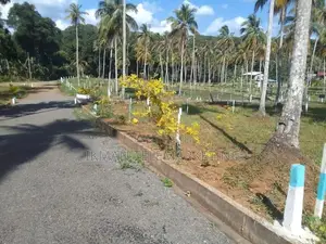 Land for Sale – Dunkolawatta, Puhuriya, Polgahawela