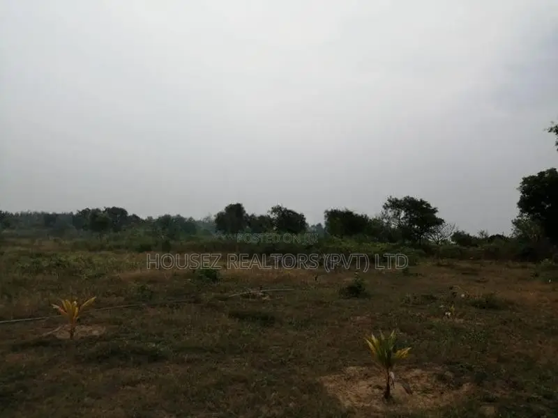 5-Acre Beachfront Land for Sale – Whiskey Point, Pottuvil