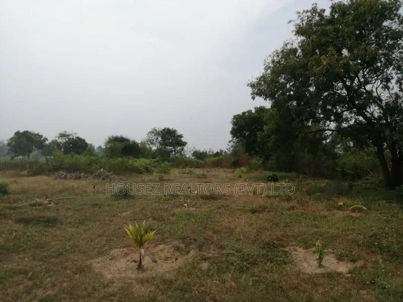 5-Acre Beachfront Land for Sale – Whiskey Point, Pottuvil