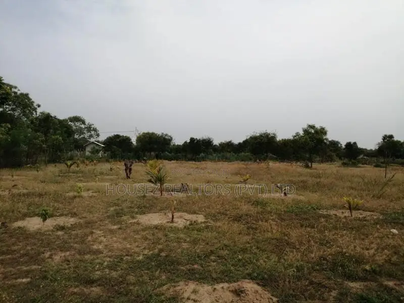 5-Acre Beachfront Land for Sale – Whiskey Point, Pottuvil