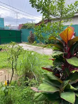 House with Land for Sale – Brandiyawatte Road, Wellampitiya