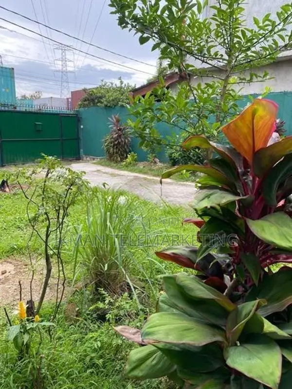 House with Land for Sale – Brandiyawatte Road, Wellampitiya