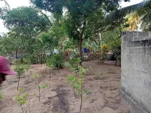 MADURANKULIYA : 20 PERCHES LAND FOR SALE