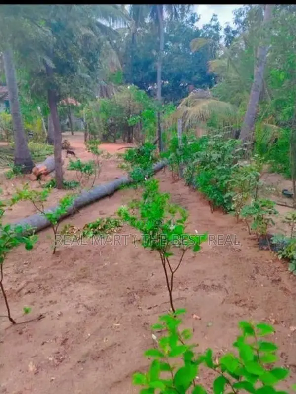MADURANKULIYA : 20 PERCHES LAND FOR SALE