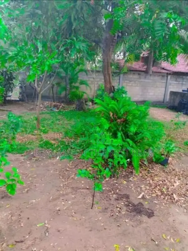 MADURANKULIYA : 20 PERCHES LAND FOR SALE