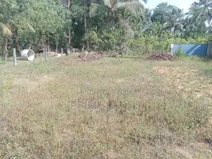 Land for Sale Dikhenapura
